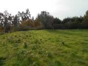 Terreno R�stico - Monte Redondo, Arcos de Valdevez, Viana do Castelo - Miniatura: 9/9