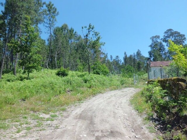 Terreno Rstico - Couto, Arcos de Valdevez, Viana do Castelo - Imagem grande