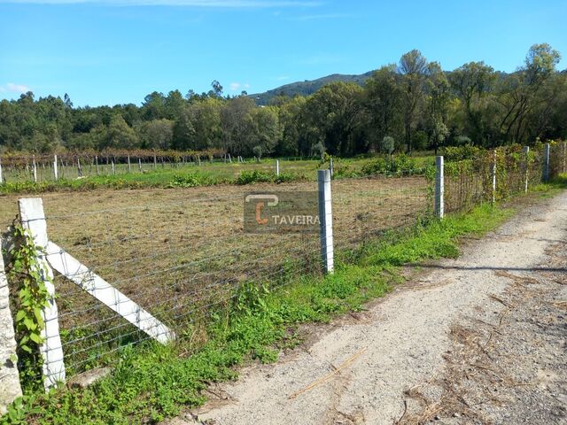 Terreno Rstico - Prozelo, Arcos de Valdevez, Viana do Castelo - Imagem grande