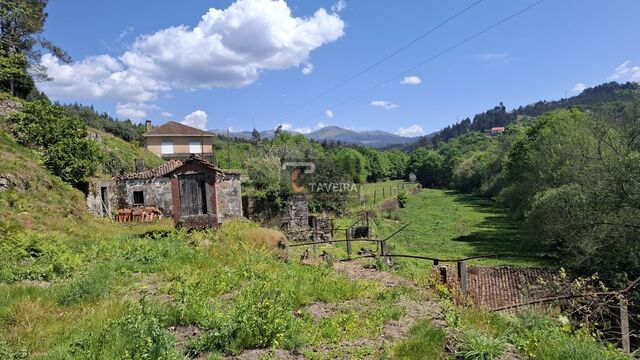 Quinta - Couto, Arcos de Valdevez, Viana do Castelo - Imagem grande