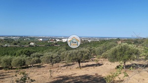 Terreno Rstico - Faro, Faro, Faro (Algarve)