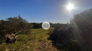 Terreno Rstico - So Brs de Alportel, So Brs de Alportel, Faro (Algarve) - Miniatura: 2/9