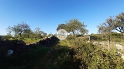 Terreno Rstico - So Brs de Alportel, So Brs de Alportel, Faro (Algarve) - Miniatura: 7/9