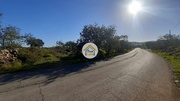 Terreno Rstico - So Brs de Alportel, So Brs de Alportel, Faro (Algarve) - Miniatura: 8/9