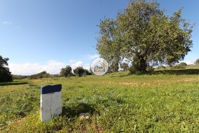 Terreno Rstico - Pecho, Olho, Faro (Algarve) - Imagem grande