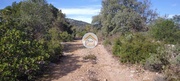 Terreno Rstico - So Brs de Alportel, So Brs de Alportel, Faro (Algarve) - Miniatura: 6/9