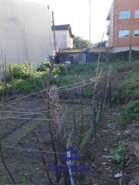 Moradia T5 - Rio Tinto, Gondomar, Porto - Miniatura: 7/10