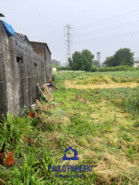 Terreno R�stico T0 - Sobrado, Valongo, Porto - Miniatura: 2/8