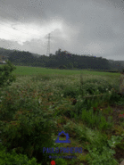 Terreno R�stico T0 - Sobrado, Valongo, Porto - Miniatura: 6/8