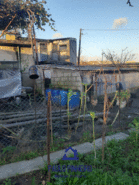 Terreno Urbano T0 - Ermesinde, Valongo, Porto - Miniatura: 5/12