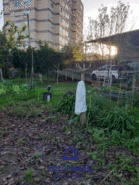 Terreno Urbano T0 - Ermesinde, Valongo, Porto - Miniatura: 9/12