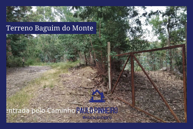 Terreno Rústico T0 - Baguim do Monte, Gondomar, Porto - Imagem grande