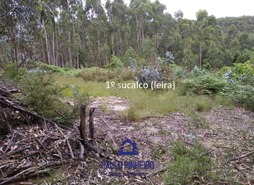 Terreno Rstico T0 - Baguim do Monte, Gondomar, Porto - Miniatura: 2/11