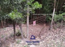 Terreno Rstico T0 - Baguim do Monte, Gondomar, Porto - Miniatura: 9/11