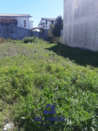 Terreno Urbano T0 - Muro, Trofa, Porto - Miniatura: 4/5