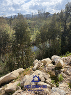 Terreno R�stico T0 - Aguiar de Sousa, Paredes, Porto - Miniatura: 1/15