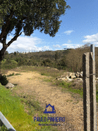 Terreno R�stico T0 - Aguiar de Sousa, Paredes, Porto - Miniatura: 3/15