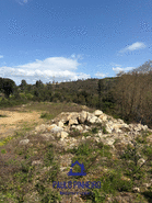 Terreno R�stico T0 - Aguiar de Sousa, Paredes, Porto - Miniatura: 6/15