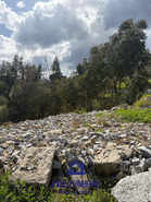 Terreno R�stico T0 - Aguiar de Sousa, Paredes, Porto - Miniatura: 7/15