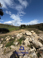 Terreno R�stico T0 - Aguiar de Sousa, Paredes, Porto - Miniatura: 9/15