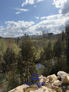 Terreno R�stico T0 - Aguiar de Sousa, Paredes, Porto - Miniatura: 11/15