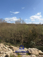 Terreno R�stico T0 - Aguiar de Sousa, Paredes, Porto - Miniatura: 12/15