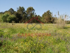 Terreno Rstico - Batalha, Batalha, Leiria