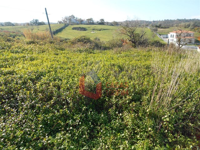 Terreno Rstico - Reguengo do Fetal, Batalha, Leiria - Imagem grande