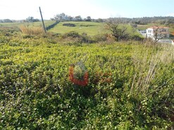 Terreno Rstico - Reguengo do Fetal, Batalha, Leiria