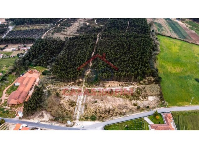 Terreno Urbano - Nossa Senhora do Ppulo, Caldas da Rainha, Leiria - Imagem grande