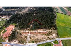 Terreno Urbano - Nossa Senhora do Ppulo, Caldas da Rainha, Leiria