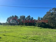 Terreno Rstico - Oliveira de Azemeis, Oliveira de Azemis, Aveiro - Miniatura: 3/8