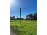 Terreno Rstico - Oliveira de Azemeis, Oliveira de Azemis, Aveiro - Miniatura: 6/8