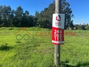 Terreno Rstico - Oliveira de Azemeis, Oliveira de Azemis, Aveiro - Miniatura: 8/8