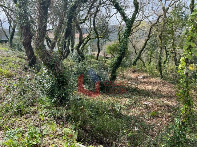 Terreno Urbano - Alvados, Porto de Mós, Leiria - Imagem grande