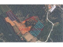 Terreno Rstico - Juncal, Porto de Ms, Leiria