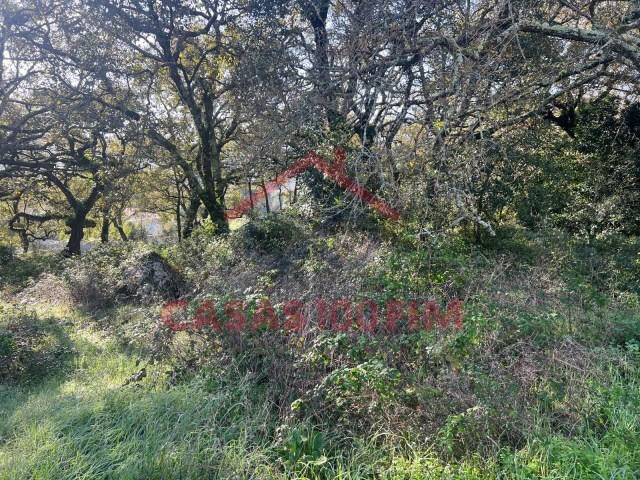 Terreno Urbano - Alvados, Porto de Ms, Leiria - Imagem grande