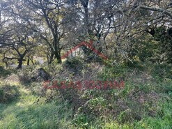 Terreno Urbano - Alvados, Porto de Ms, Leiria