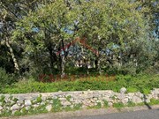 Terreno Urbano - Alvados, Porto de Ms, Leiria - Miniatura: 1/7