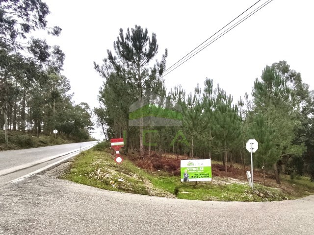 Terreno Rústico - Amor, Leiria, Leiria - Imagem grande