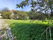 Terreno Rstico - Colmeias, Leiria, Leiria - Miniatura: 1/3