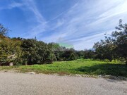 Terreno Rstico - Colmeias, Leiria, Leiria - Miniatura: 2/3