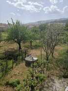 Quinta T4 - Canhoso, Covilh, Castelo Branco - Miniatura: 2/22