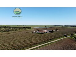 Terreno Rstico - Aljustrel, Aljustrel, Beja