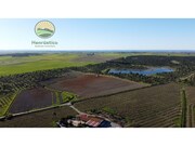 Terreno Rstico - Aljustrel, Aljustrel, Beja - Miniatura: 2/7