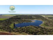 Terreno Rstico - Aljustrel, Aljustrel, Beja - Miniatura: 3/7