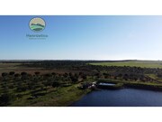 Terreno Rstico - Aljustrel, Aljustrel, Beja - Miniatura: 4/7