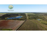 Terreno Rstico - Aljustrel, Aljustrel, Beja - Miniatura: 7/7