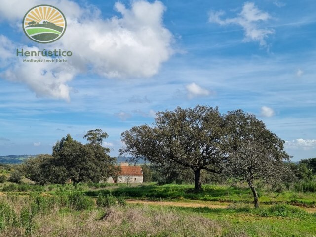 Quinta T1 - Santa Margarida da Serra, Grndola, Setbal - Imagem grande