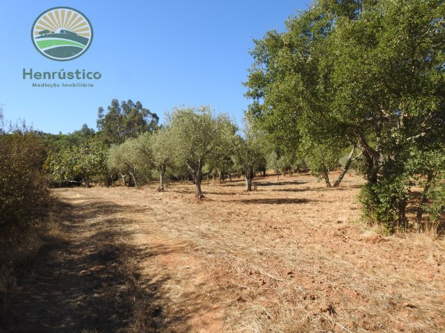 Quinta - Santa Margarida da Serra, Grândola, Setúbal - Imagem grande